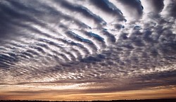 HAARP
