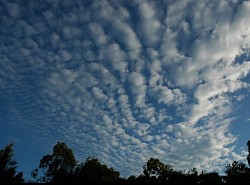HAARP
