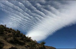 HAARP