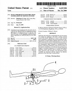 December 26, 2000 PULSE VARIABILITY IN ELECTRIC FIELD MANIPULATION OF NERVOUS SYSTEMS